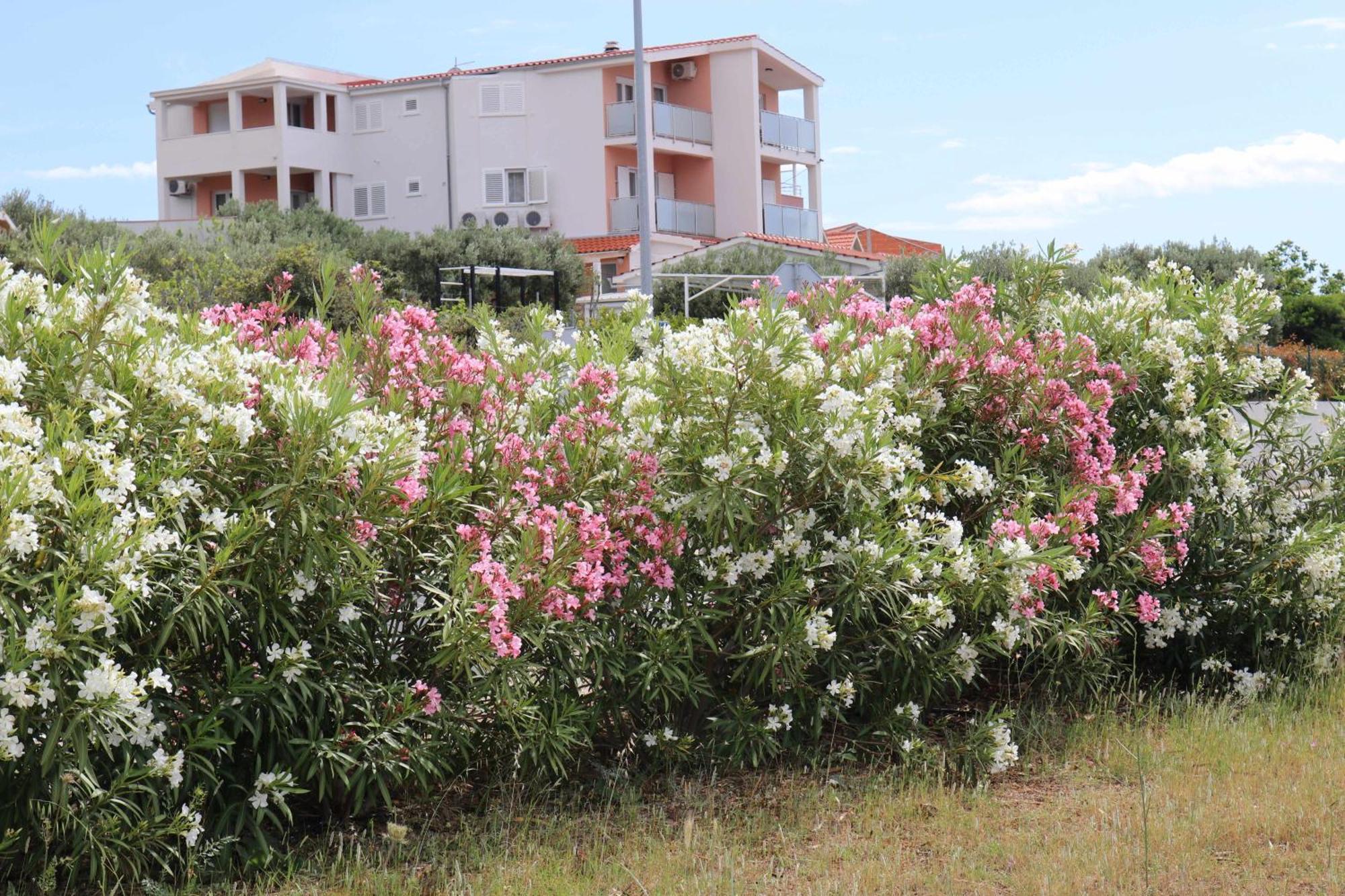 Apartmani Bilokapic Primošten المظهر الخارجي الصورة